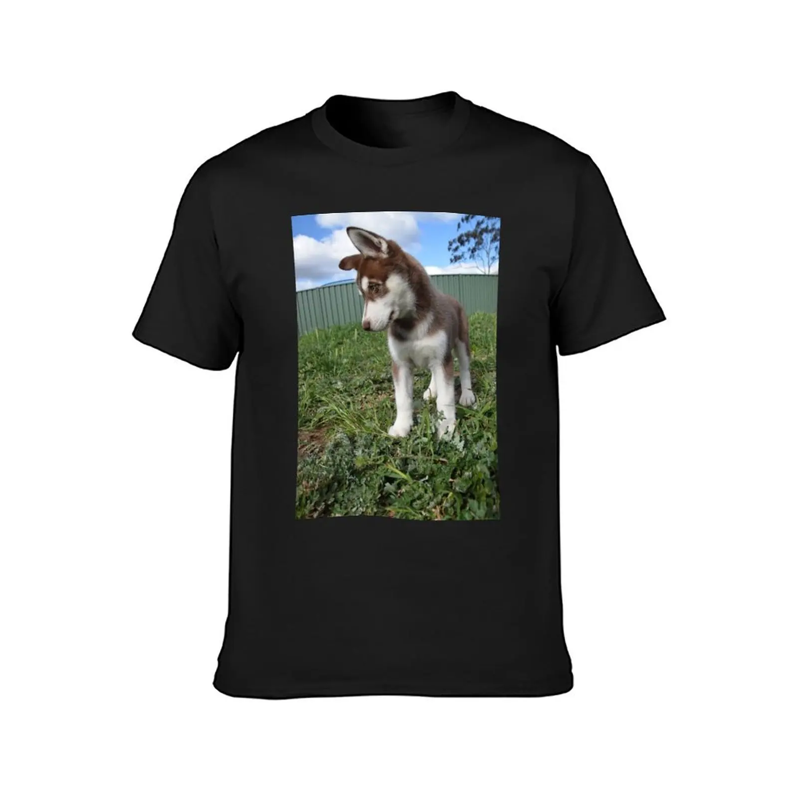 Jax-husky/malamute puppy T-shirt customs design your own for a boy summer top t shirts for men pack