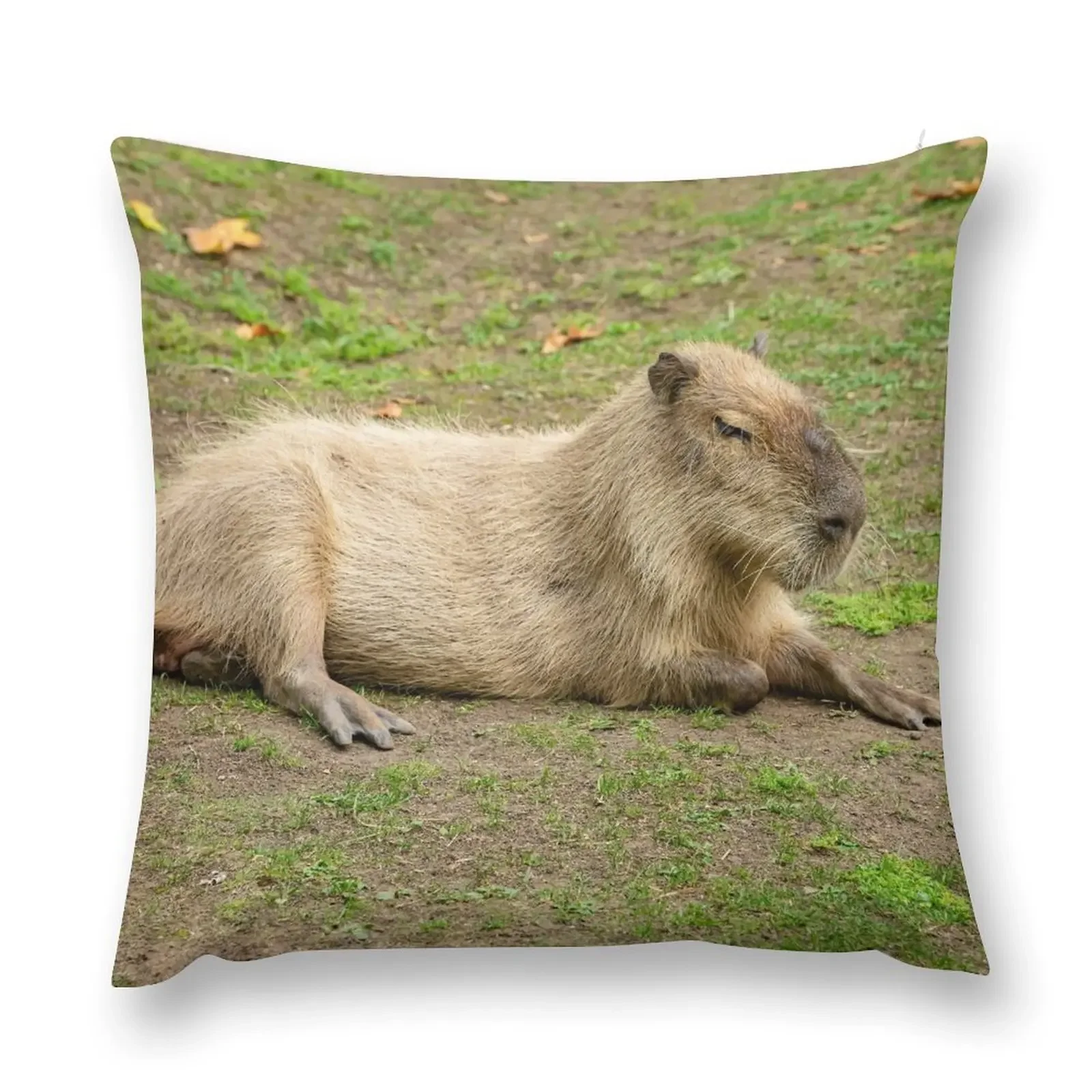 Just Chilled Capybara Throw Pillow Couch Cushions pillow pillowcase Sofa Pillow Cover Sofa Covers For Living Room