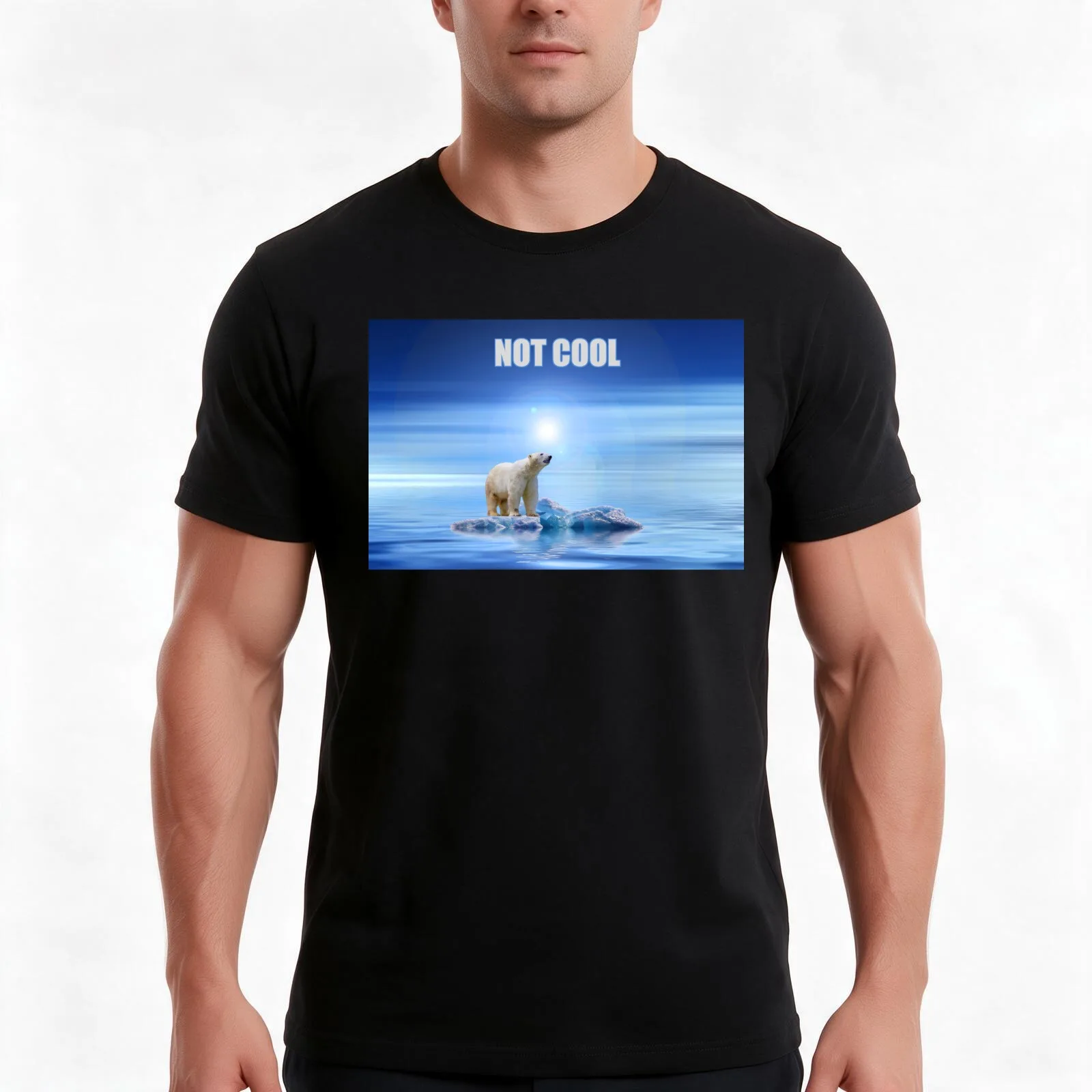 Not Cool: Polar bear on a small chunk of ice T-Shirt, Summer Casual Cotton Tee, Oversized Streetwear Tops, Vintage Graphic Print
