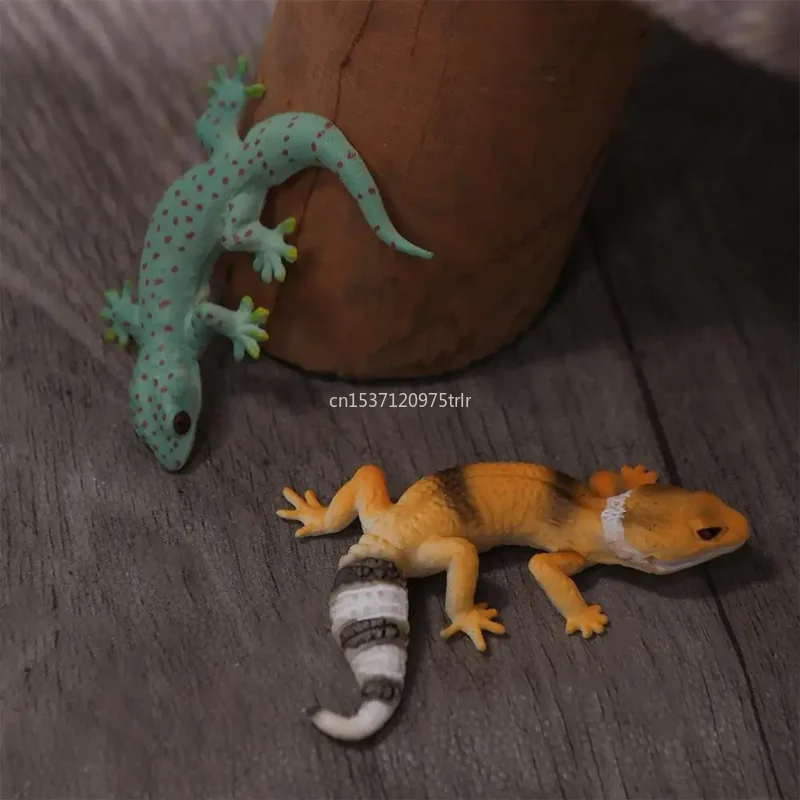 Eidechse Spielzeug Reptil Figur Tier Spielzeug Realistische Gefälschte Eidechsen Action Modell Gecko Kinder Gummi Prop Figur Party Gefälligkeiten Figuren