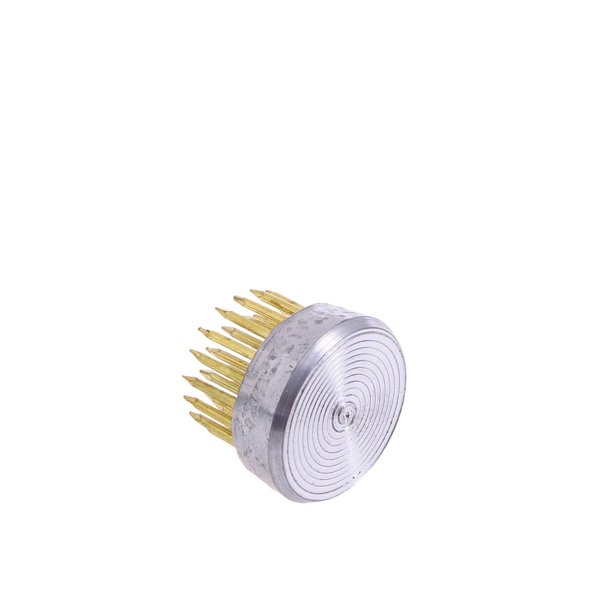 

Flower Arrangement Tools Pin Frog for Ikebana Kenzan Sturdy Needles Containers Prevent Movement Water Branch