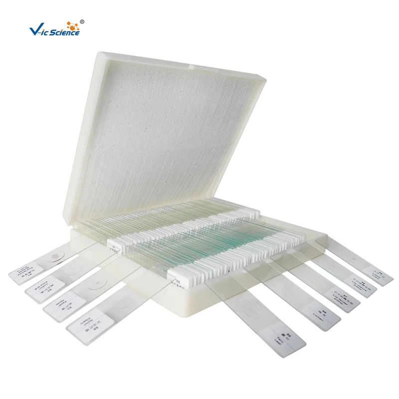 100pcs Parasitology Prepared Slides
