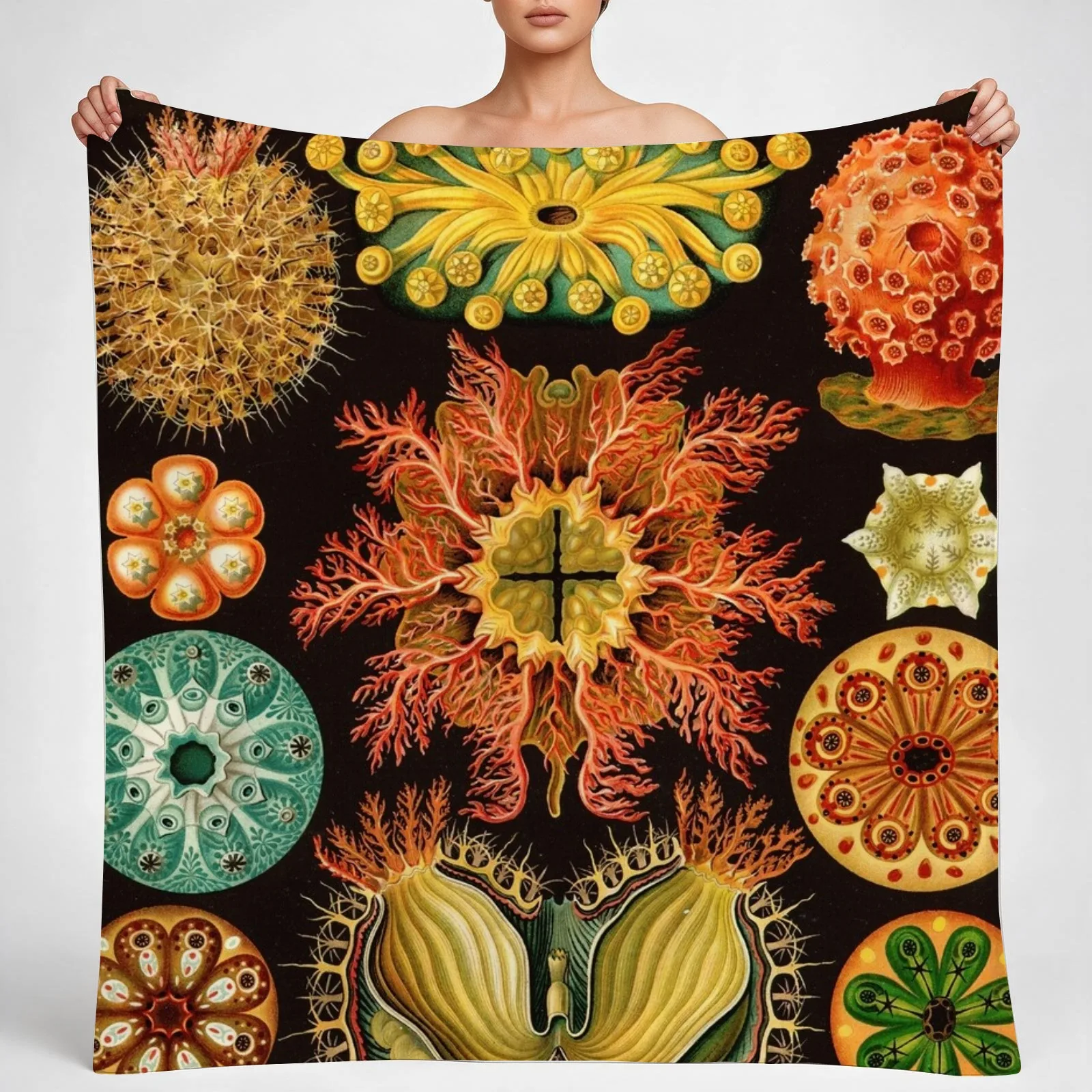 Ernst Haeckel - Ascidiae (Sea Squirts) - Vintage Botanical illustration Throw Blanket couch