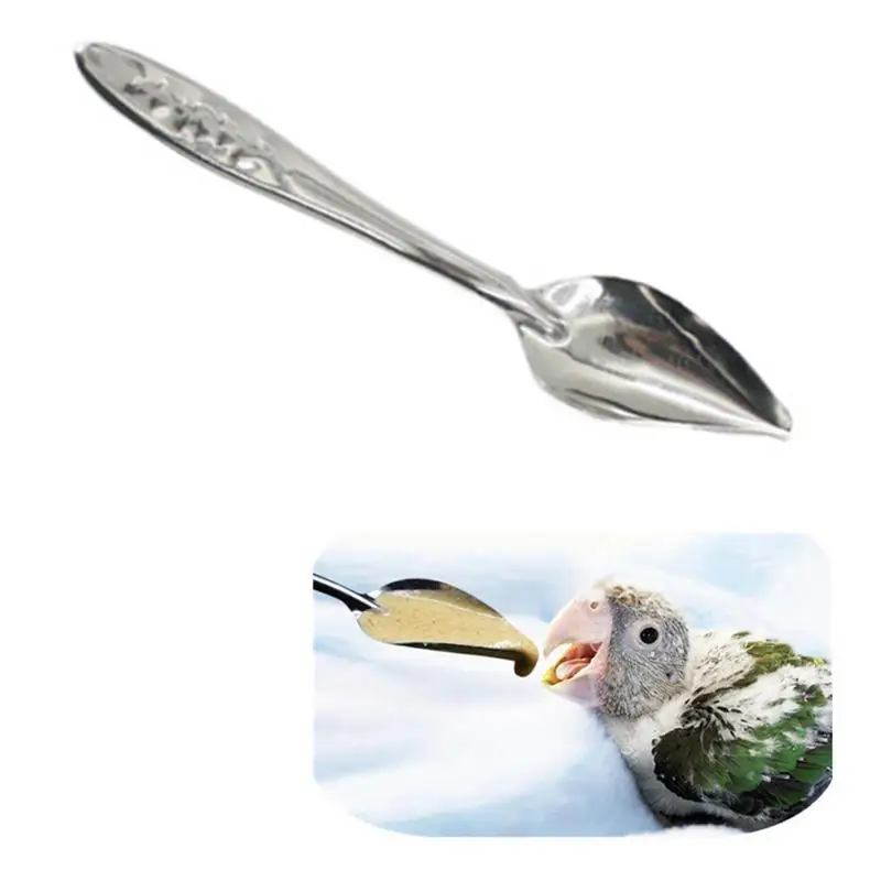 Cuchara de Metal para alimentación de aves, cucharilla de acero inoxidable de 10 piezas para alimentación de loros, medicina y leche