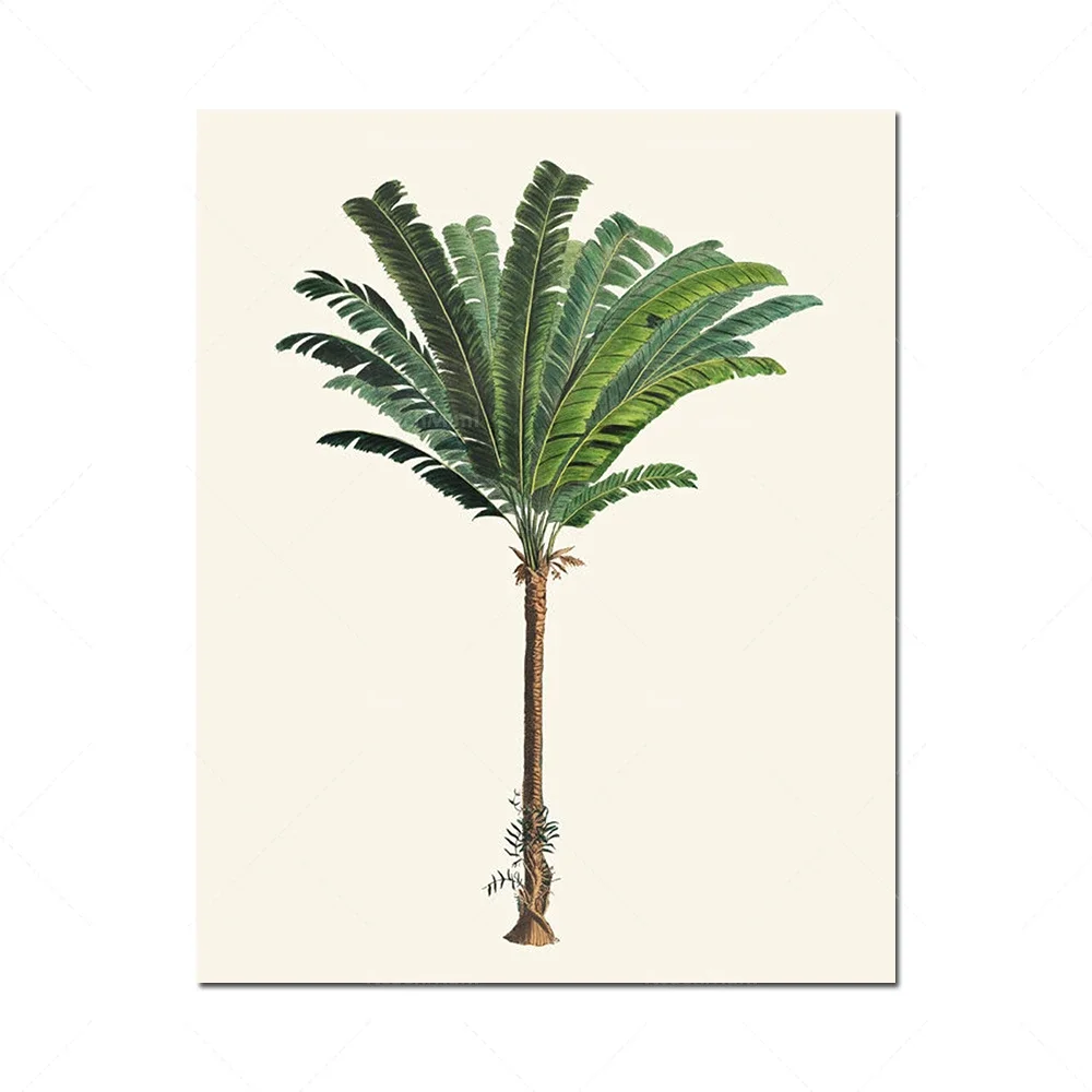 1pc frameless Canvas Painting 2026 Retro Artwork Tropical Palm Trees Plant Canvas Painting Wall Art Poster Print for Living Room