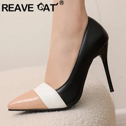 REAVE CAT Fashion Women Pumps 31 32 33 Pointed Toe Stiletto 10cm Slip On Mixed Color Size 48 49 50 Sexy Party Shoes