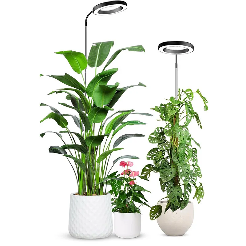 160 Large Round Pla… - image