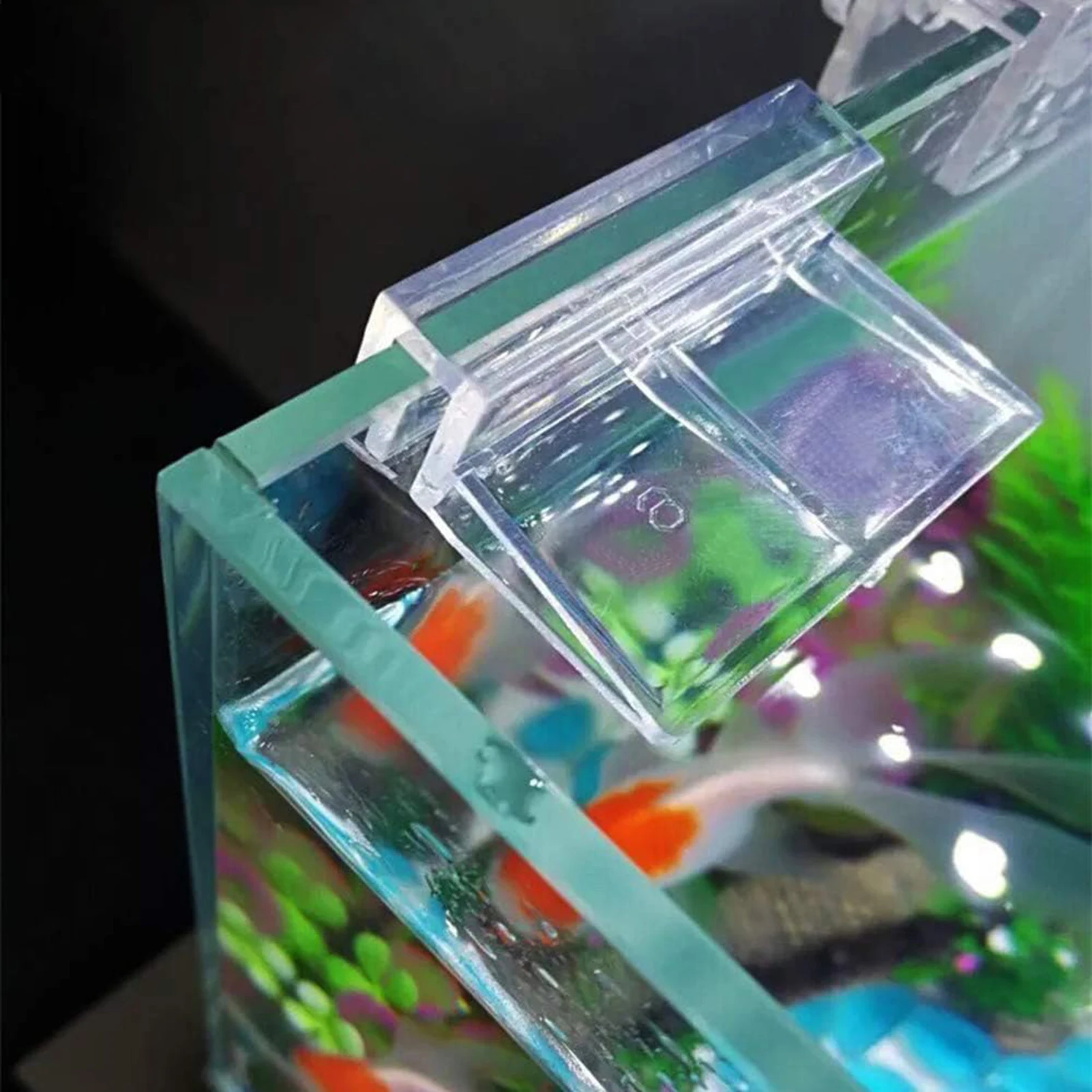 Soportes de acrílico para cubi - Aquarium Fish Glass reseña y precio