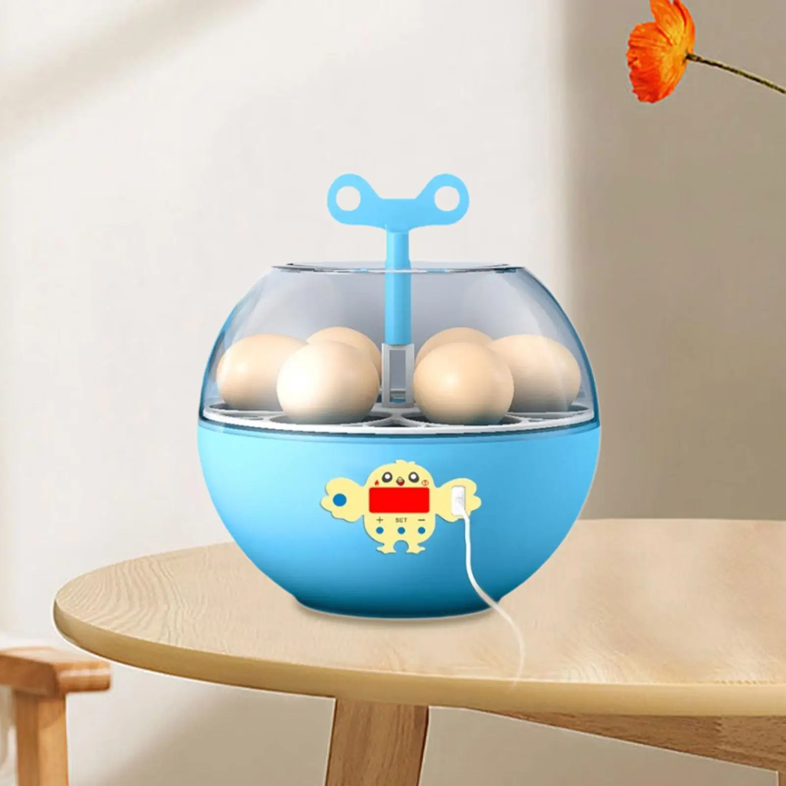 6 Eggs Incubator Mini Visible Incubator for Hatching Eggs Poultry Hatching Machine for Chickens Goose Duck Quail Farm Supply