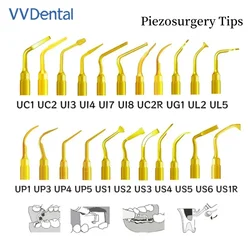 VV Dental Piezosurgery Tips For Mectron Woodpecker Dmetec NSK Bone Cutting Sinus Lifting Implant Dental Handpiece Piezo Surgery