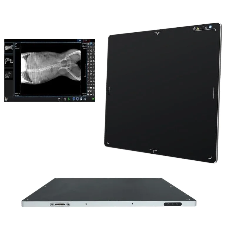 Electric Flat Panel X Ray Detector Wireless Digital CE Certified for Hospital Clinic Radiography DR System with Accessories