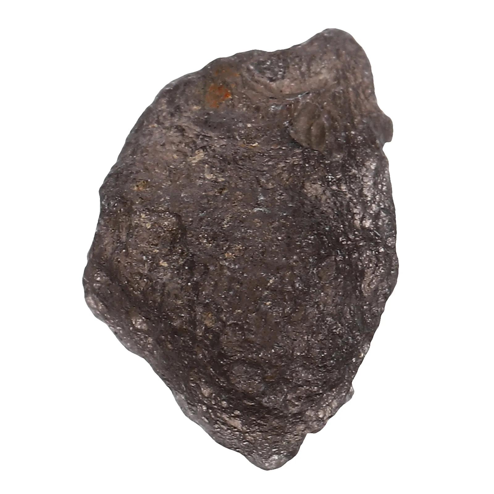 

Glass Meteorite Raw Rock Specimen for Science Education Space Exploration Gift for Geology Fans Astronomy Students Unique