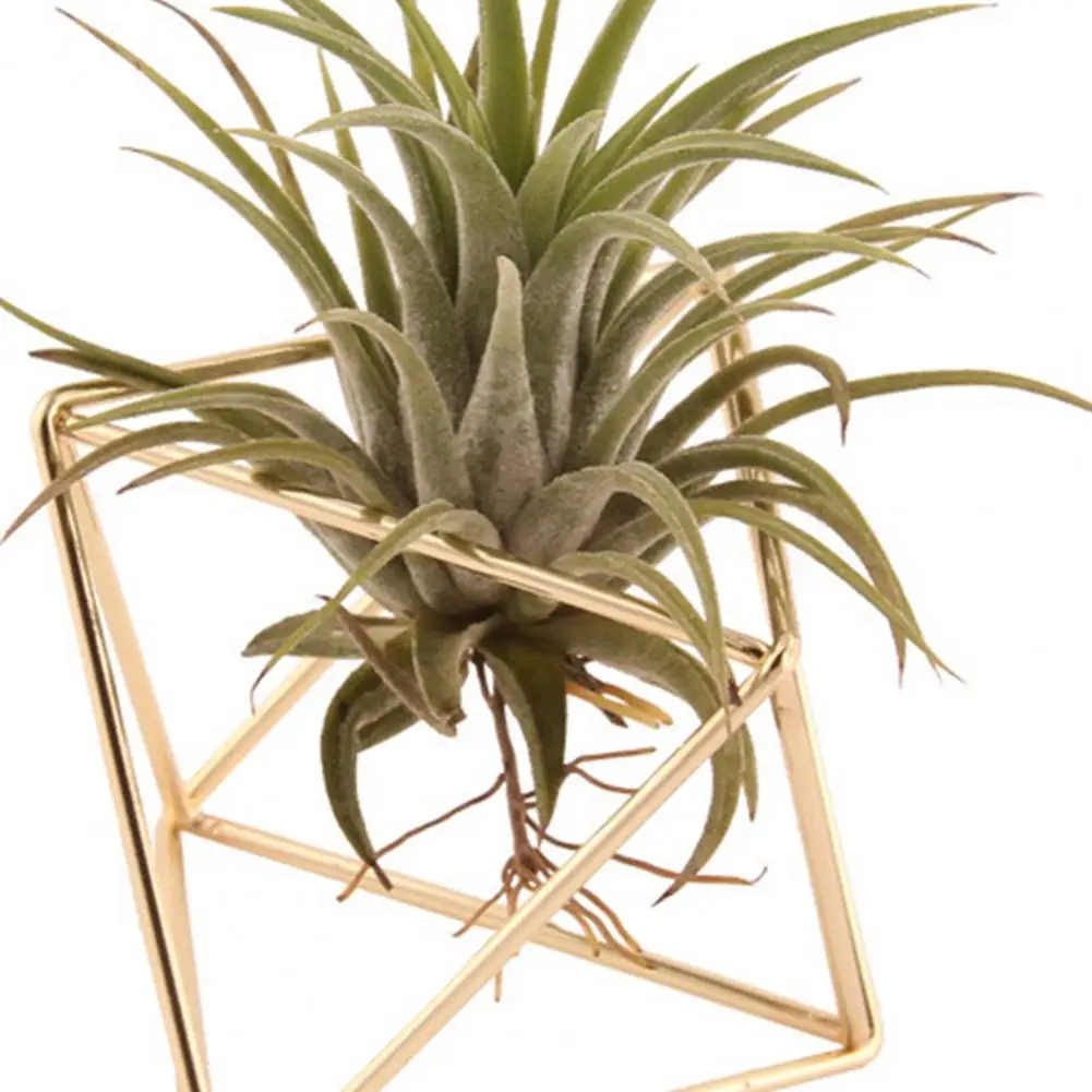 Hollow Flowerpot Propagation Stations Glass Hanging Geometric Plant Iron Stand Air Plant Holder Wedding Home Dinning Room Decor