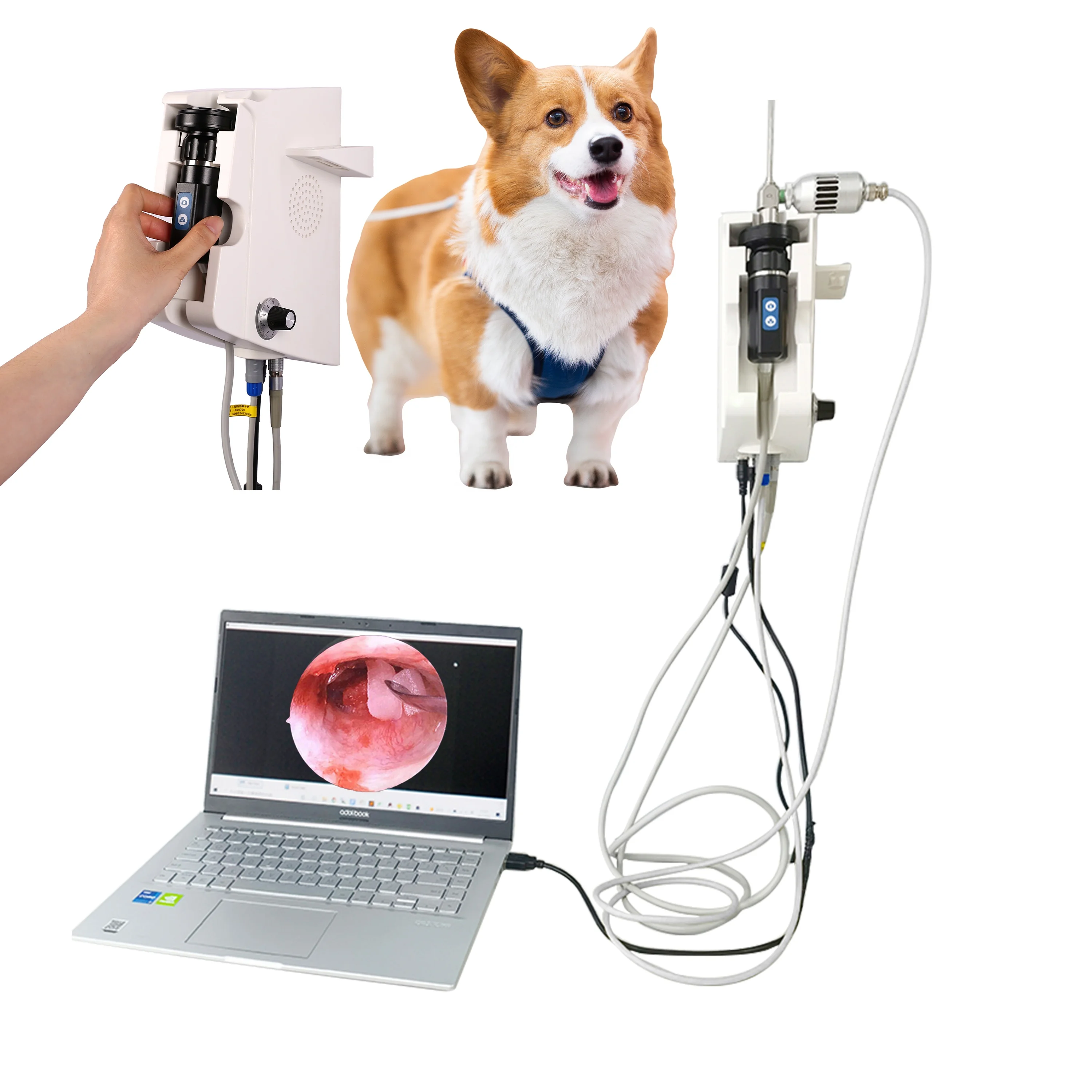 HEIZLE Veterinary Endoscopic System Flexible Endoscope Camera Module Wall Video Animal Medical Endoscope For Pet Hospital