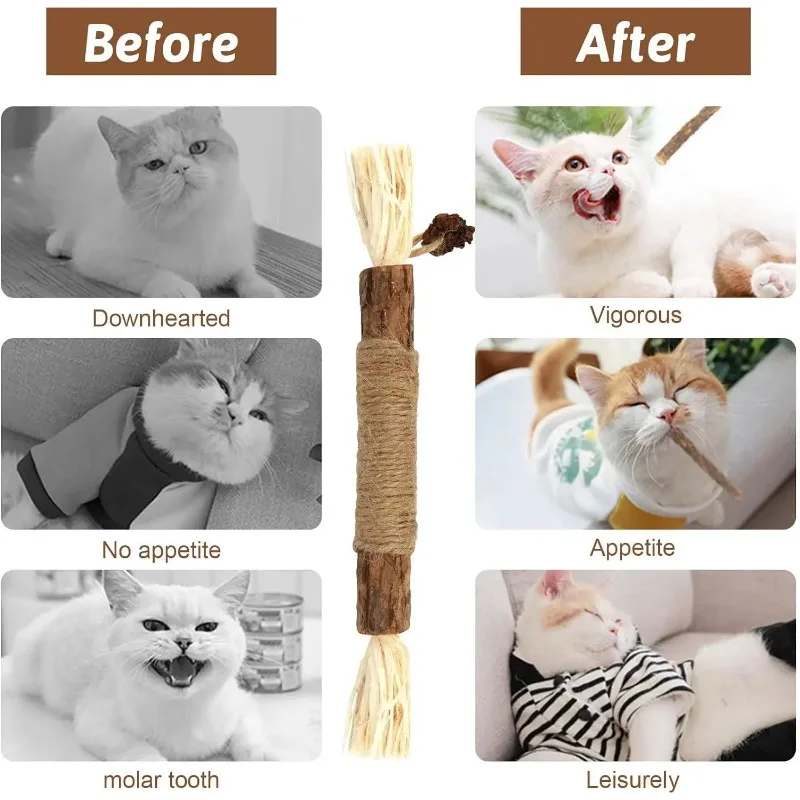 Pet Cat Wooden Polygonum Stick Lafite Grass Cat Toy Molar Stick Catnip Cat Tooth Cleaning Silvervin Stick Cane Pet Supplies Toys