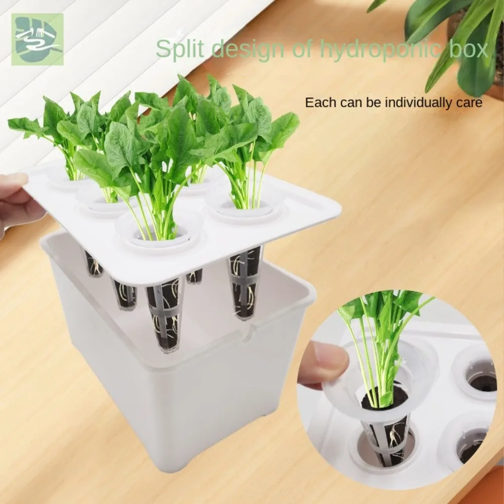 

DIY Balcony Hydroponic Plants Pot Vegetable Bucket Flowerpot Hydroponic System Plant Growth Soilless Cultivation Equipment