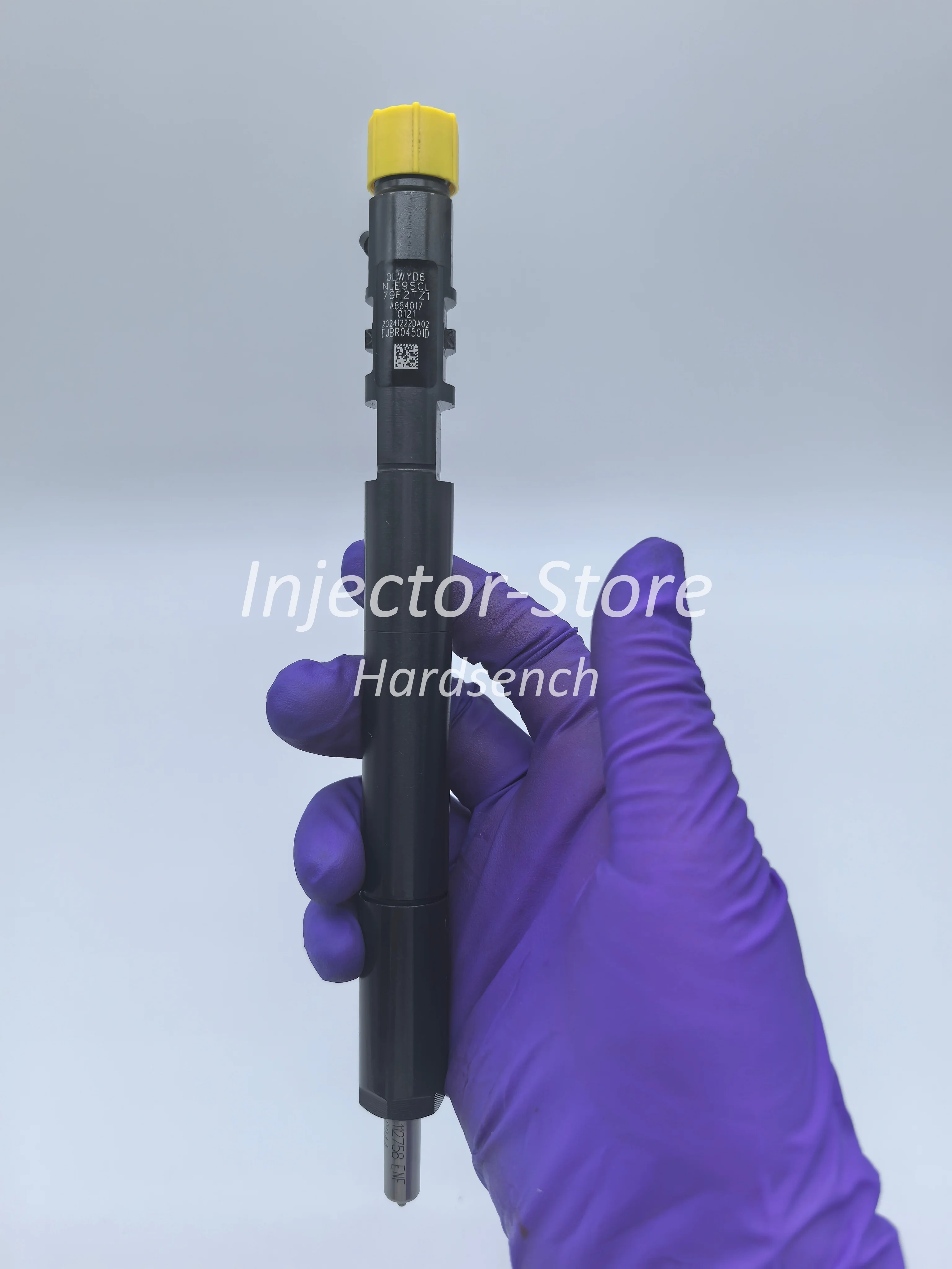 A6640170121 Diesel Fuel Injector EJBR04501D R04501D for Ssangyong Actyon Kyron