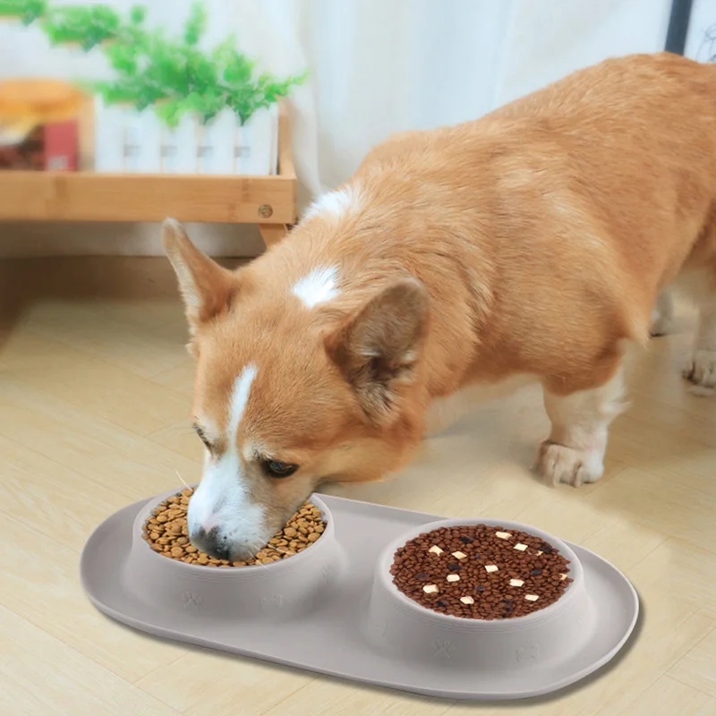 Thumbnail 2 - #14 Ranked Slow Puppy Feeder Bowls Picks in 2026