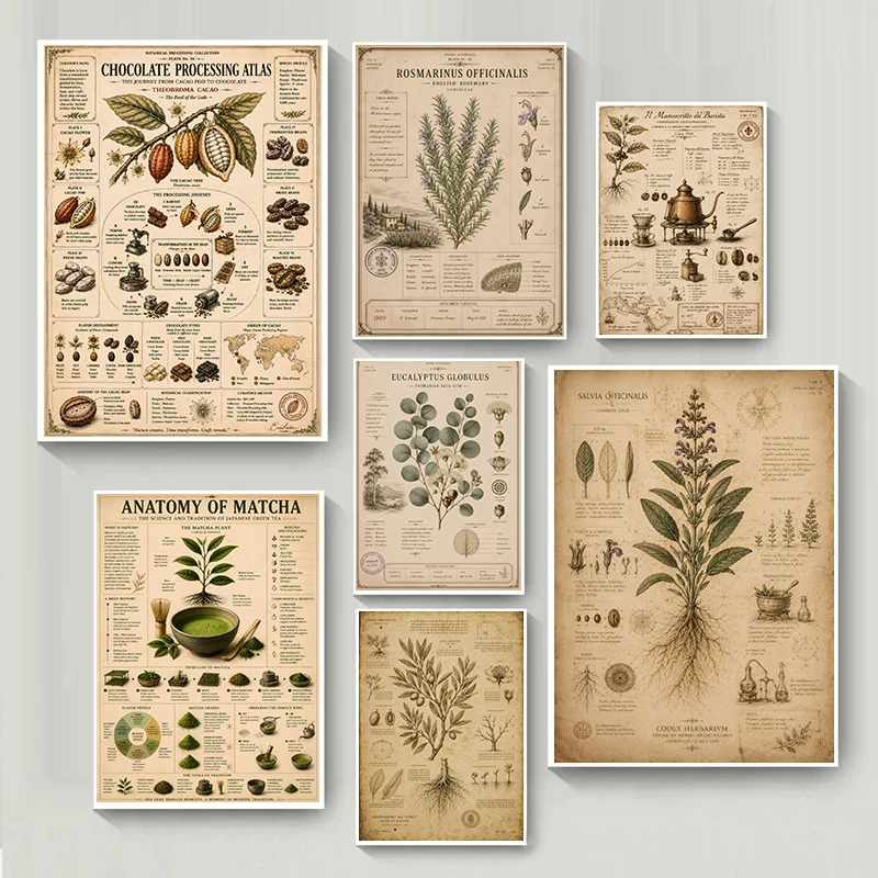 Vintage Herbarium Medicinal Herbs Posters Cotton Tea Olive Tree Botanical Prints Canvas Painting Wall Pictures Home Room Decor