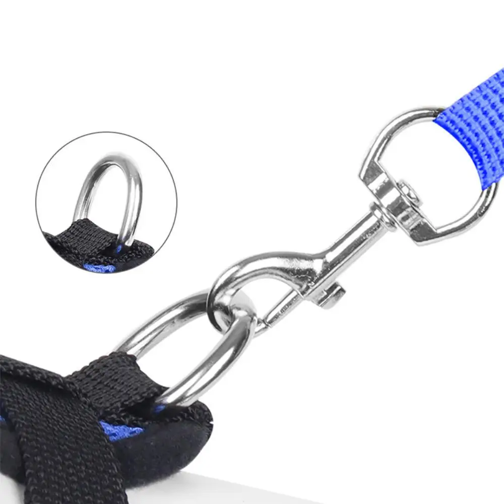 Thumbnail 3 - #21 Budget Puppy Leads for Smart Shoppers