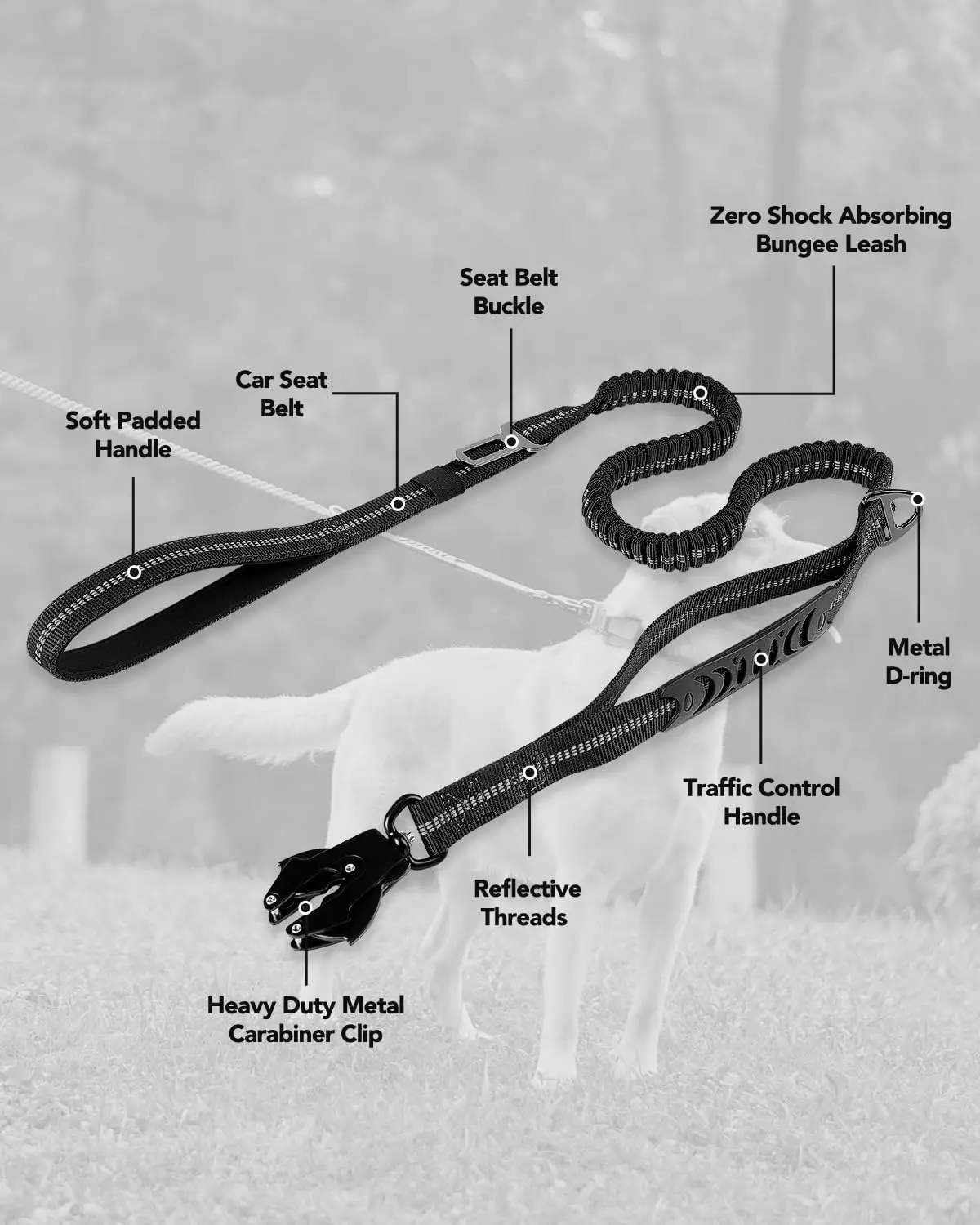 Thumbnail 3 - #6 Compare Retractable Dog Leads Before You Buy