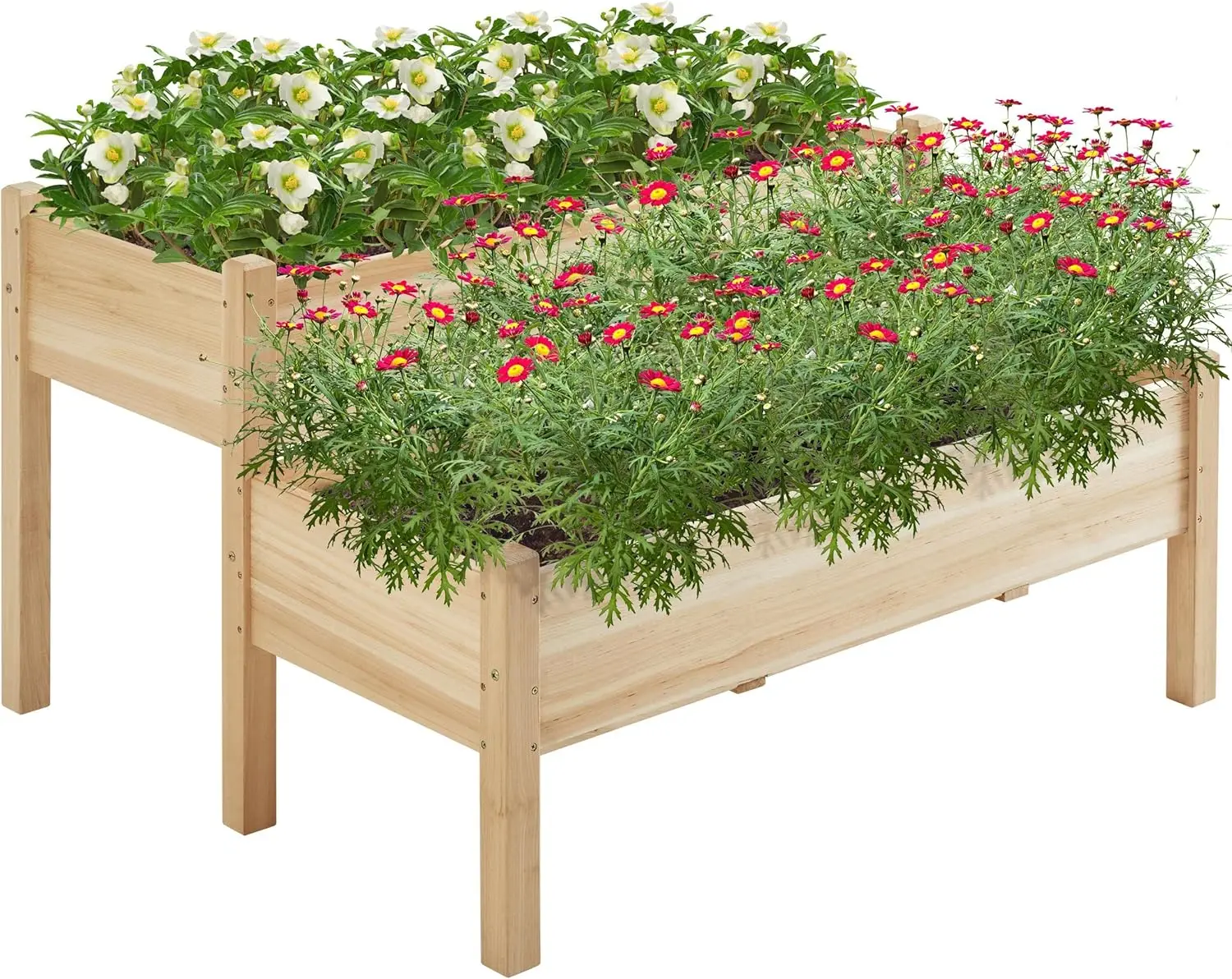 

2-Tier Wooden Raised Garden Bed with Legs & Drainage Holes for Patio, Balcony, Backyard