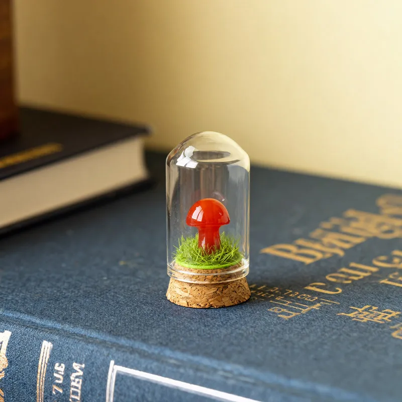 Mini Size Cylinder Glass Dome 8sets/pack 3.7*6cm 3.7*8cm 3.7*10cm Cork Base Dry Flower Storage Bottle DIY Tube Vase Friend Gift