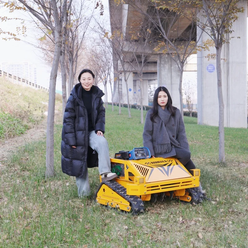 

customized Free Shipping Rubber Track Electric Remote Control Lawn Mower Remote Control Crawler Mini Lawn Mower