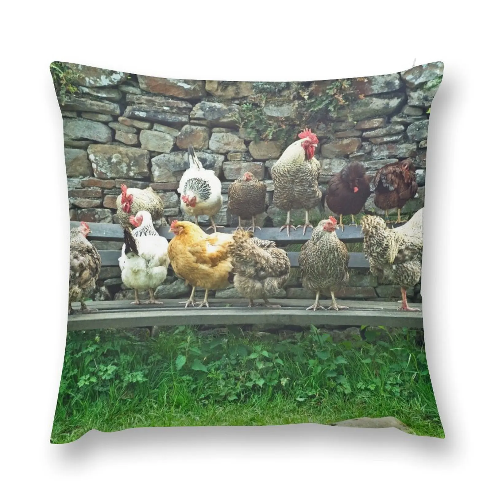 

Hens on a bench, perhaps all waiting for the same bus Throw Pillow Pillow Decor Sofa Cushions Cover pillow