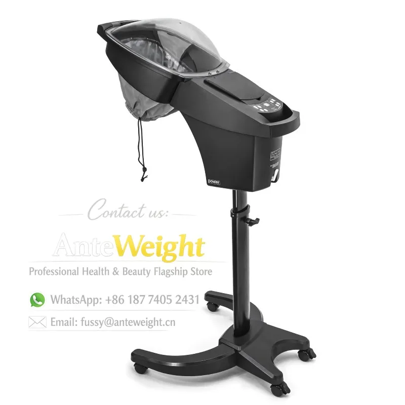 Portable Hair Steamer Machine Hooded Nano Mist Steam for Home Salon Hair Treatment
