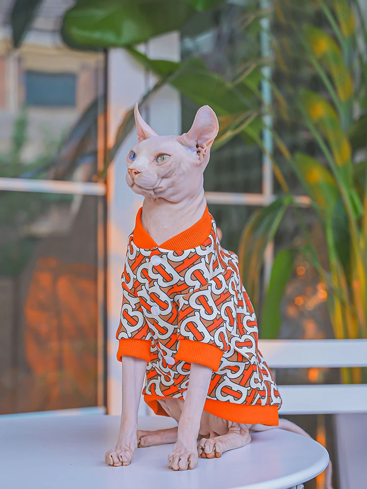 Sphynx Cat Warm Jacket in Winter Hairless Cat Clothes Cotton Baseball Uniform For Devon Rex Orange Cartoon Coat for Kittens