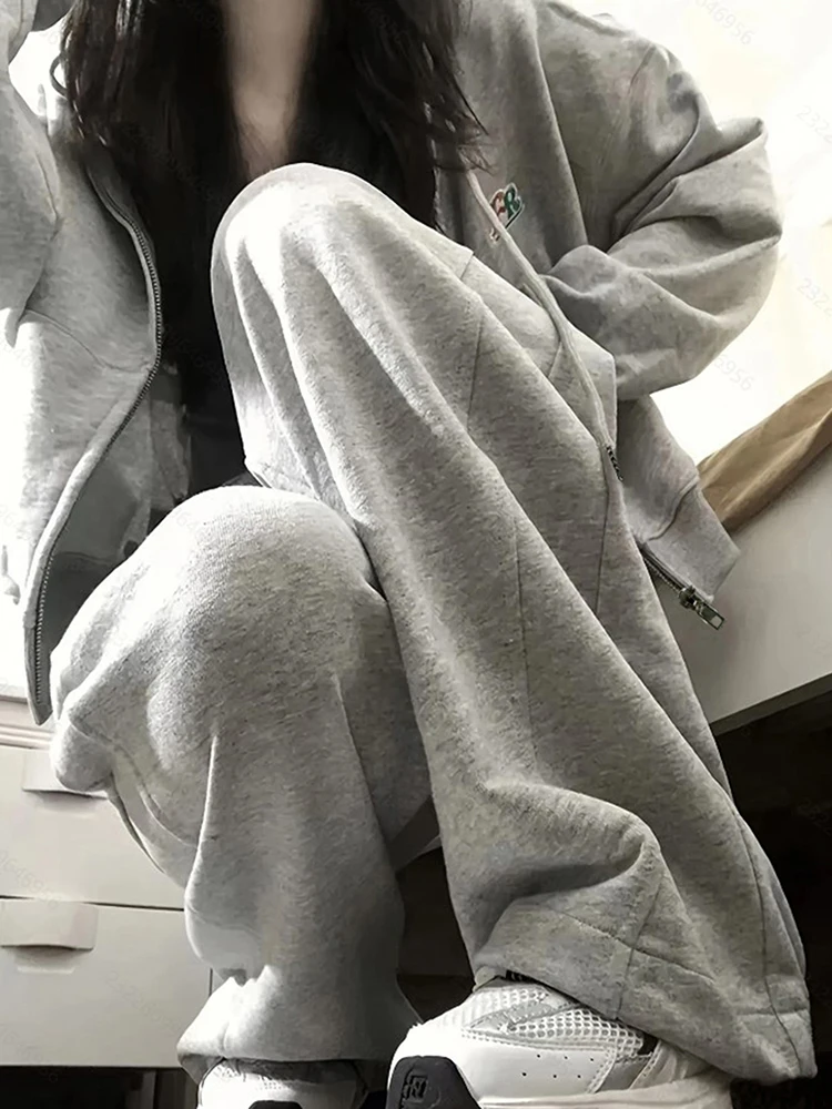 Conjunto de sudadera de manga larga con cremallera para mujer, conjunto de dos piezas holgado y versátil de estilo coreano para estudiantes, ajustado, a la moda, primavera y otoño