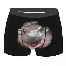 Men Cute Moo Deng Circle Underwear Sexy Boxer Shorts Panties Male Breathable Underpants