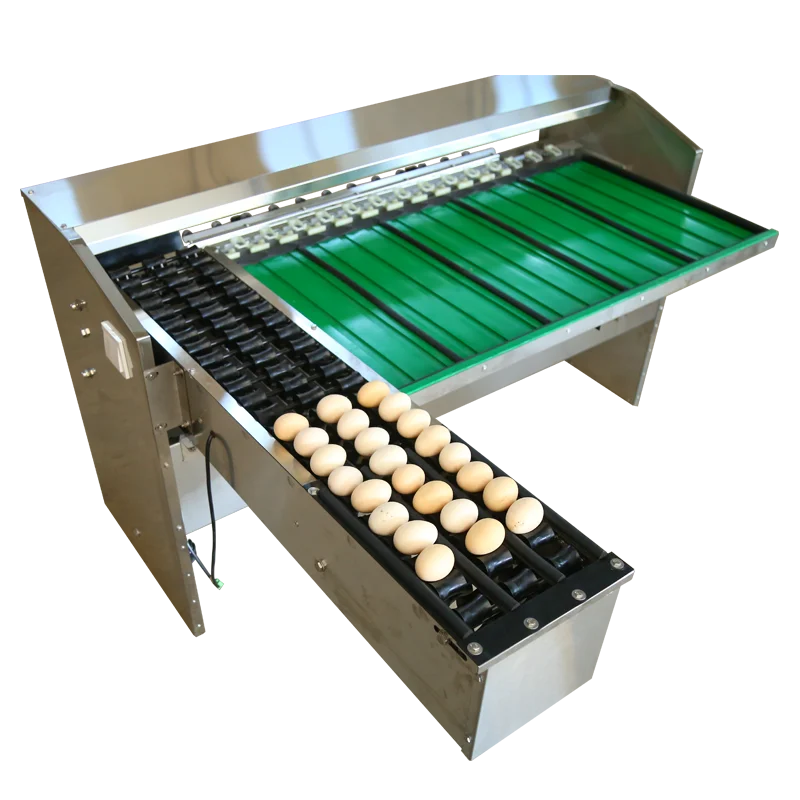 Chicken Small Weighing Sorting Automatic Sorter Egg Grader