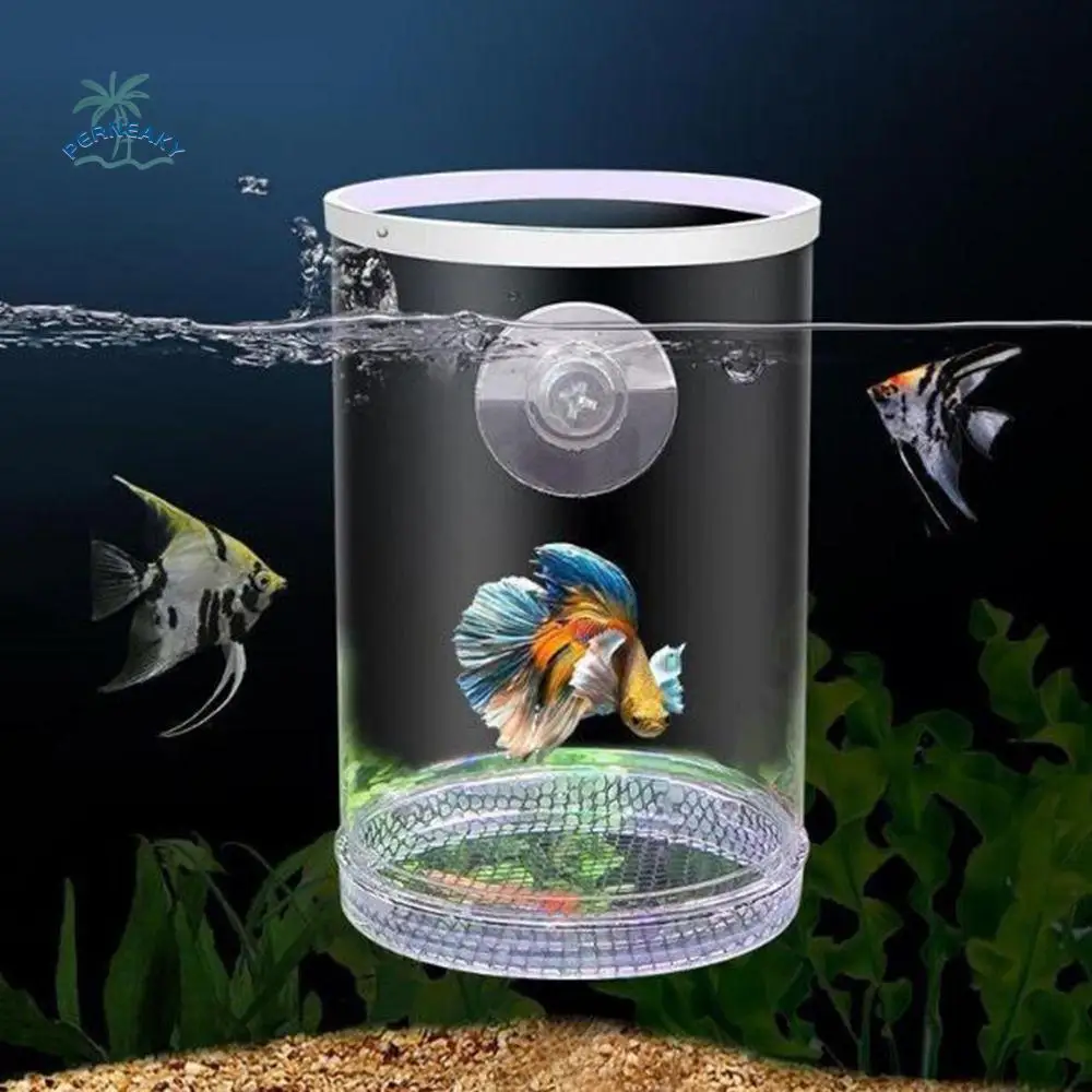 

Plastic Suction Cup Floating Hatching Box Transparent Feeding Peacock Fish Breeding Box Detachable Ornamental