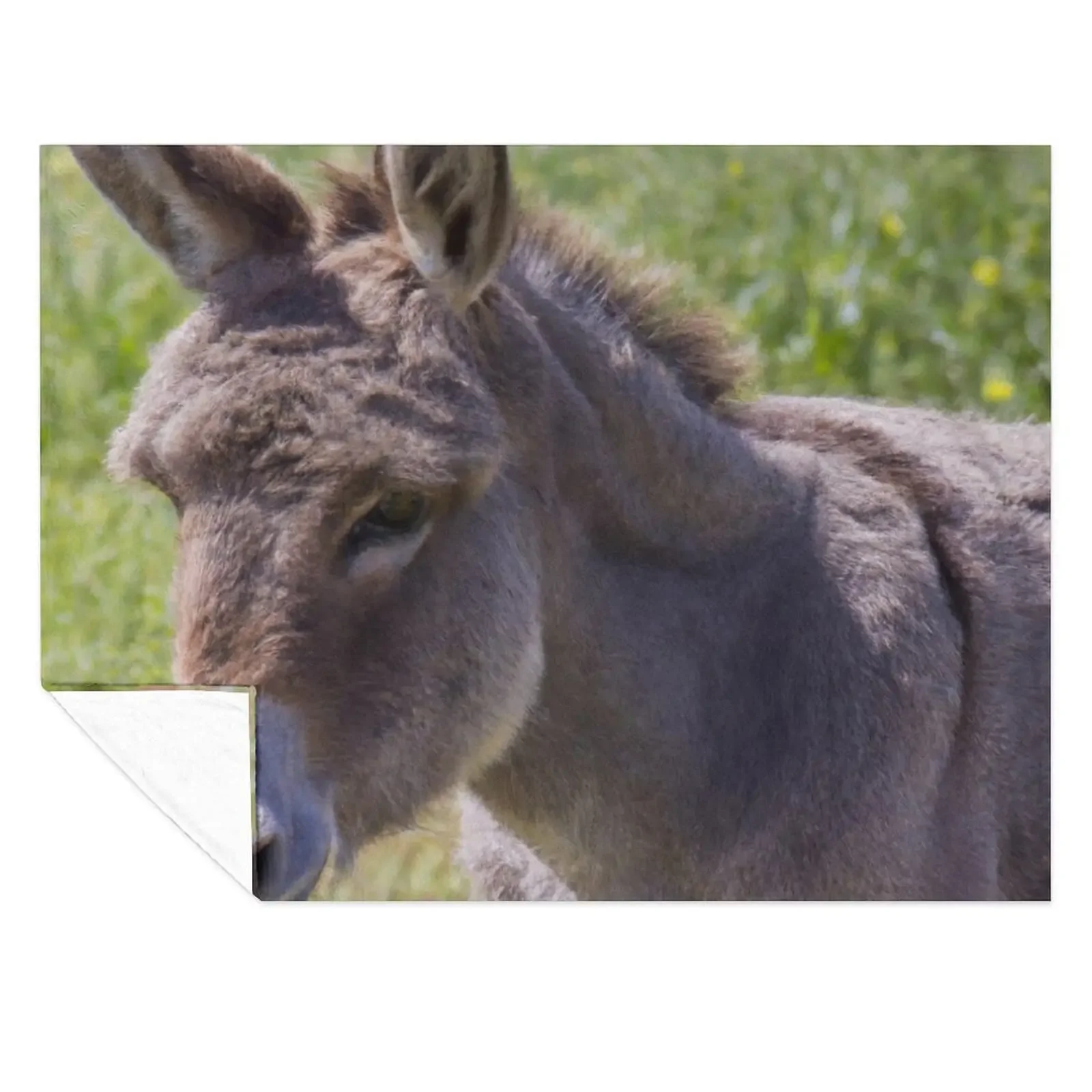 

Donkey Throw Blanket Quilt Plaid Heavy Luxury Thicken Blankets