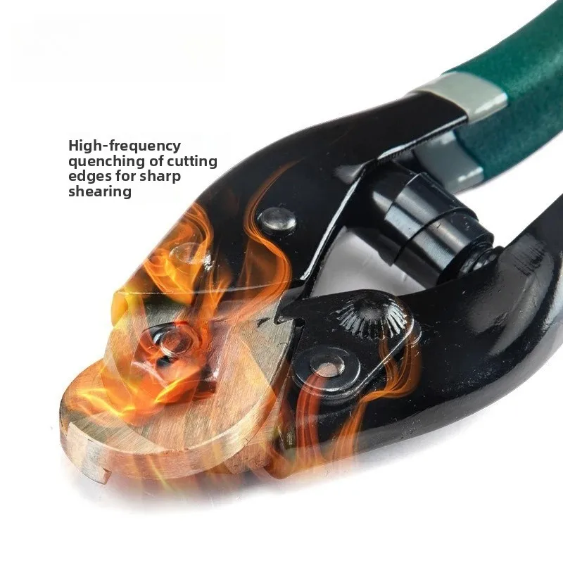 

Commercial Shrimp & Squid Press Pancake Scone Maker Seafood Cake Fossil Grill Pan for Restaurant Home Use