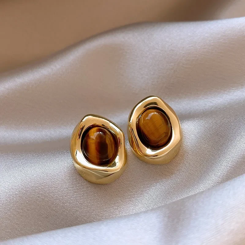 DREJEW Maillard Tiger Eye Stone Earrings 2025 Korean Fashion  Light Luxury Stud Earring Luxury Designer Jewelry Wholesale Gifts