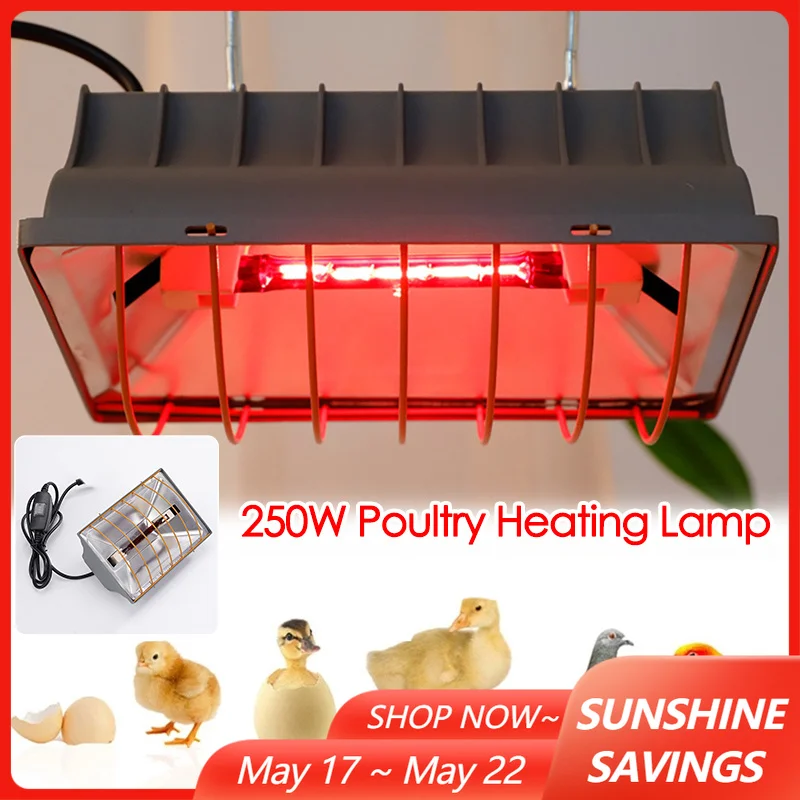 Lámpara calefactora para aves de corral, 250W, temperatura constante, Reptiles, animales, gallinero, lámparas calefactoras, equipo de cría de calefacción para mascotas