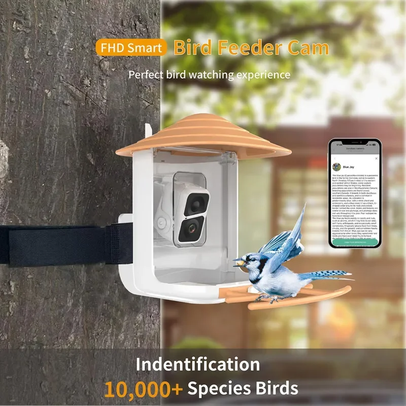 2L IP66 AI Smart Bird Feeder with Camera Wireless WiFi Solar Garden Bird Feeder