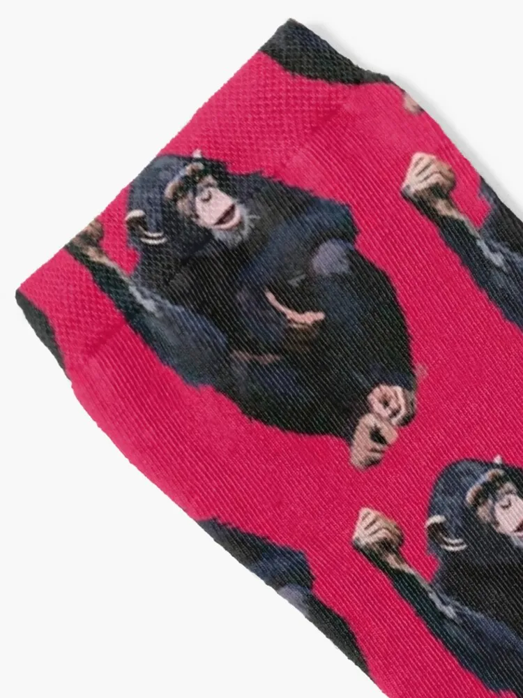 Chimpanzee (Pan troglodytes schweinfurthii) Socks Black Socks Funny Socks