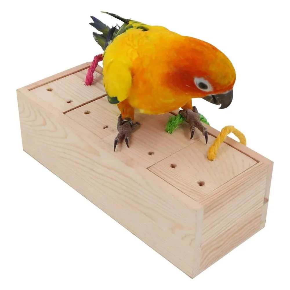 1pc Natural Wood Interactive Parrot Feeder Chew Toy Funny Foraging Box for Small Large Birds Parrot Education Play Bird Supplies