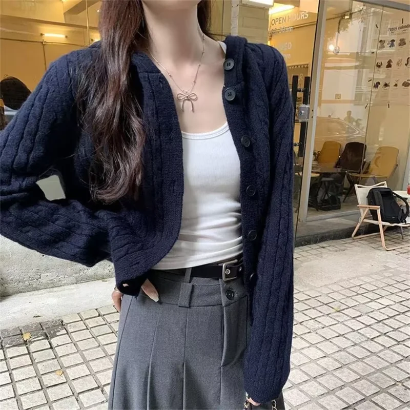 Gray Twist Knitted Cardigan Women Autumn New Vintage All-match Hooded Sweater Coat Fashion Single Breasted Hoodies Woman