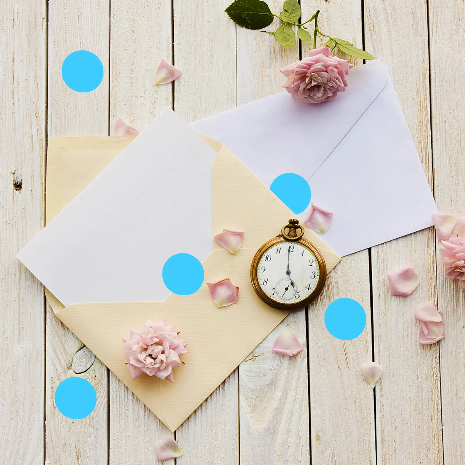 

1 Roll Coding Label Stickers Bright Circle Dots Labels Premium Paper Self Adhesive for Filing Folder Tagging Envelope Sealing