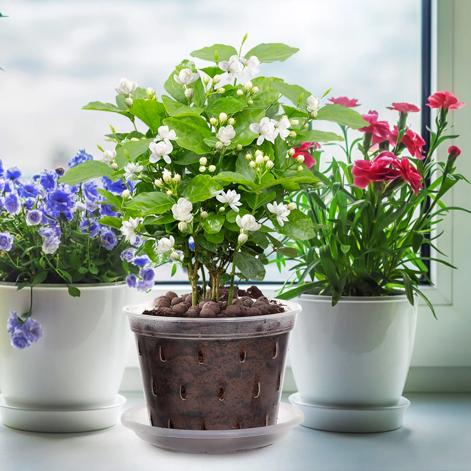 

3 Pcs Plastic Orchid Pot Breathable Pots Mix Clear Nursery Flower for Plants with Saucers Garden Flowerpot