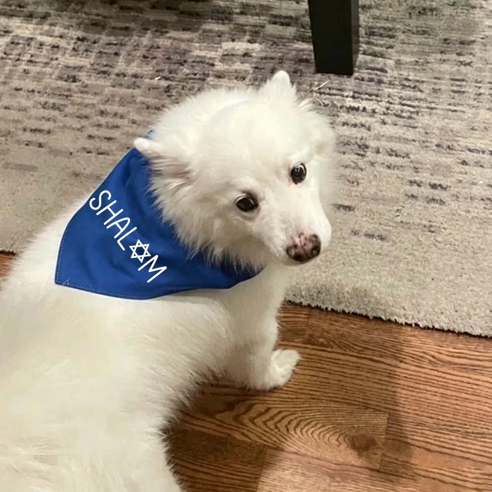 Shalom Jewish Holiday Celebration Triangle Dog Bandana Star of David Shabbat Hanukkah Passover Pet Accessory Gift for Pet Lovers