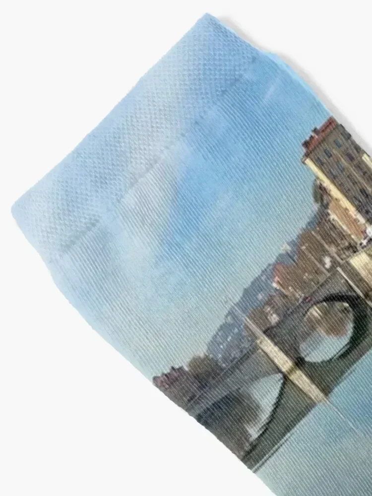 Bonaparte Bridge, Lyon - France Socks essential Non-slip compression anti slip football Boy Child Socks Women's