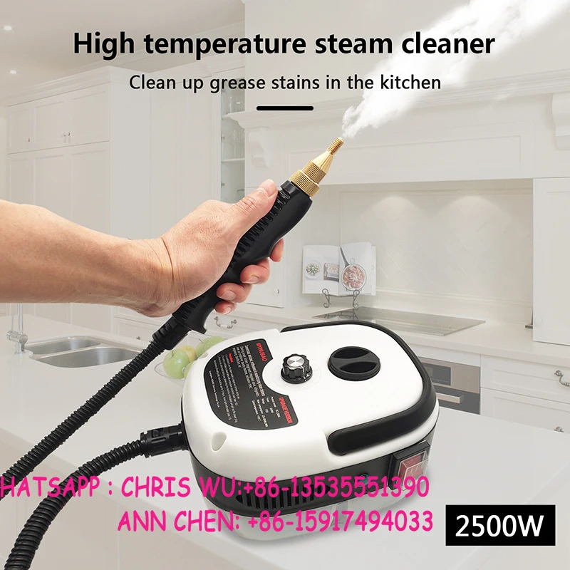 Handheld High Temp Steam Cleaner Pressure Cleaning Machine For Home Car Office Room 2500W 1800W 110V 220V