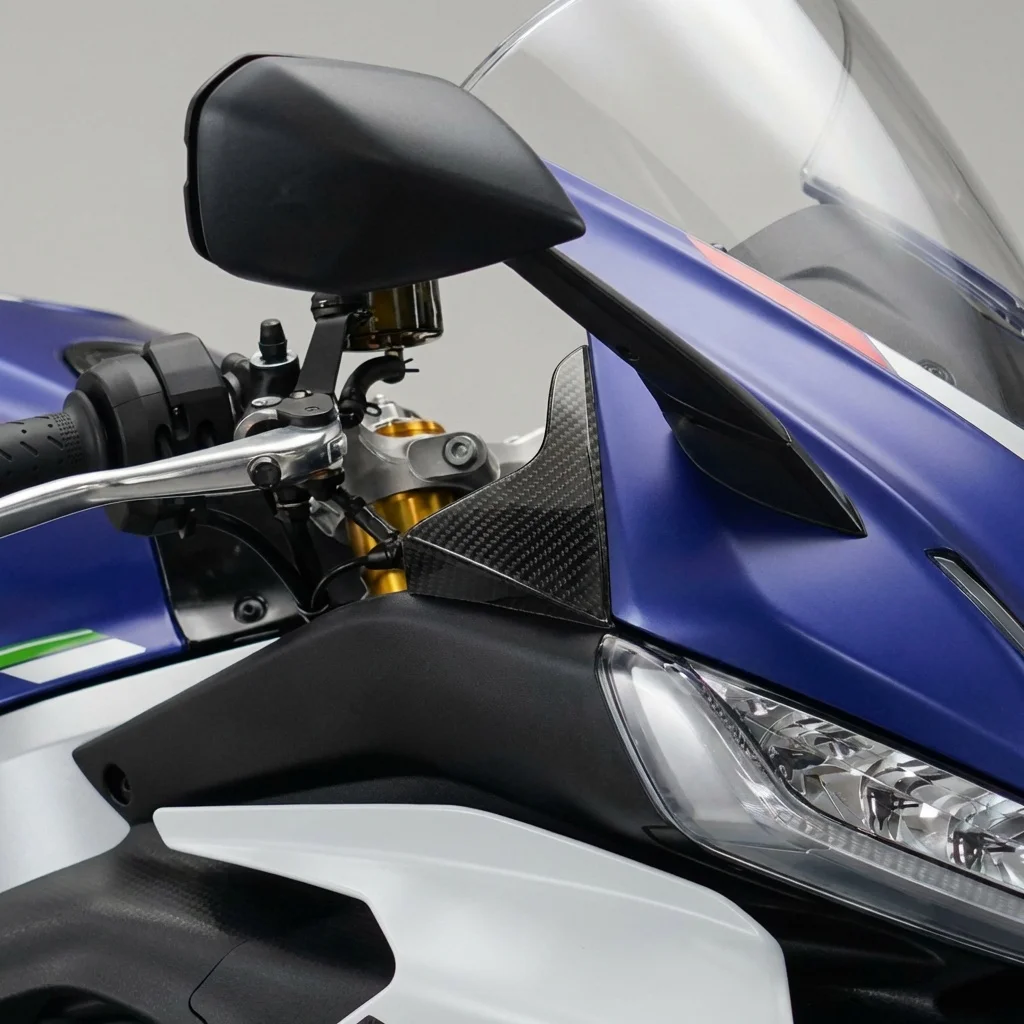 Cache de carénage avant en fibre de carbone pour moto, extension de garniture pour Aprilia RS 660 2020-2025