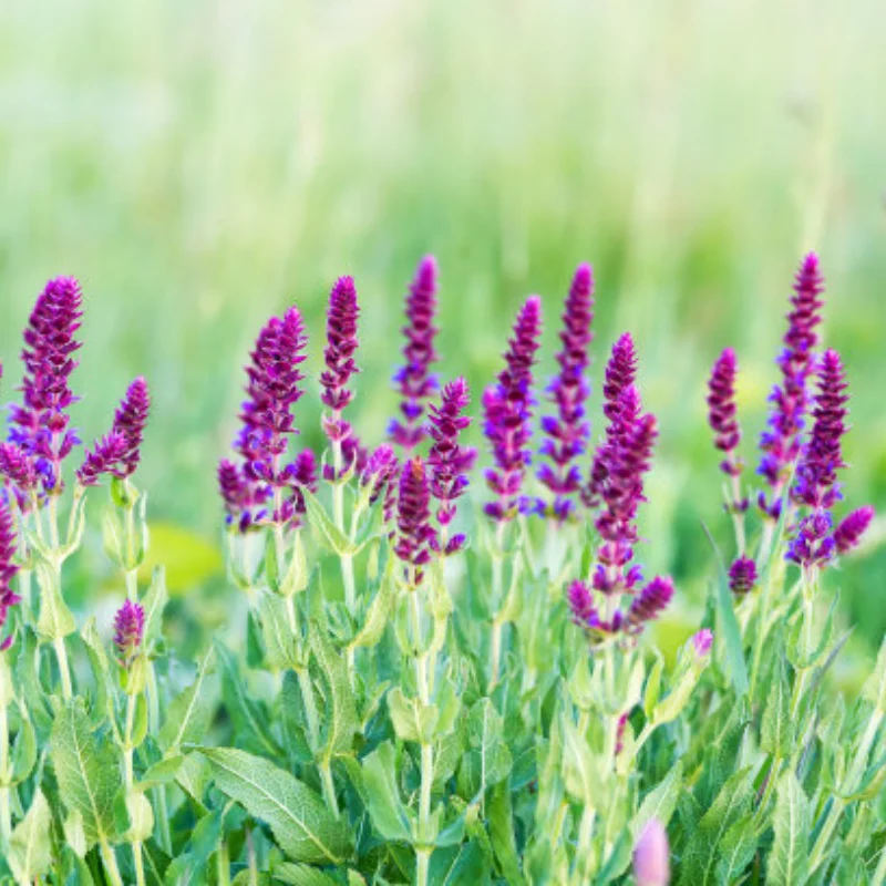 

Wltoys 12428 12423 Запасные части для радиоуправляемого автомобильного приемника 12428-0056 Основная плата печатной платы для радиоуправляемого автомобиля 1/12